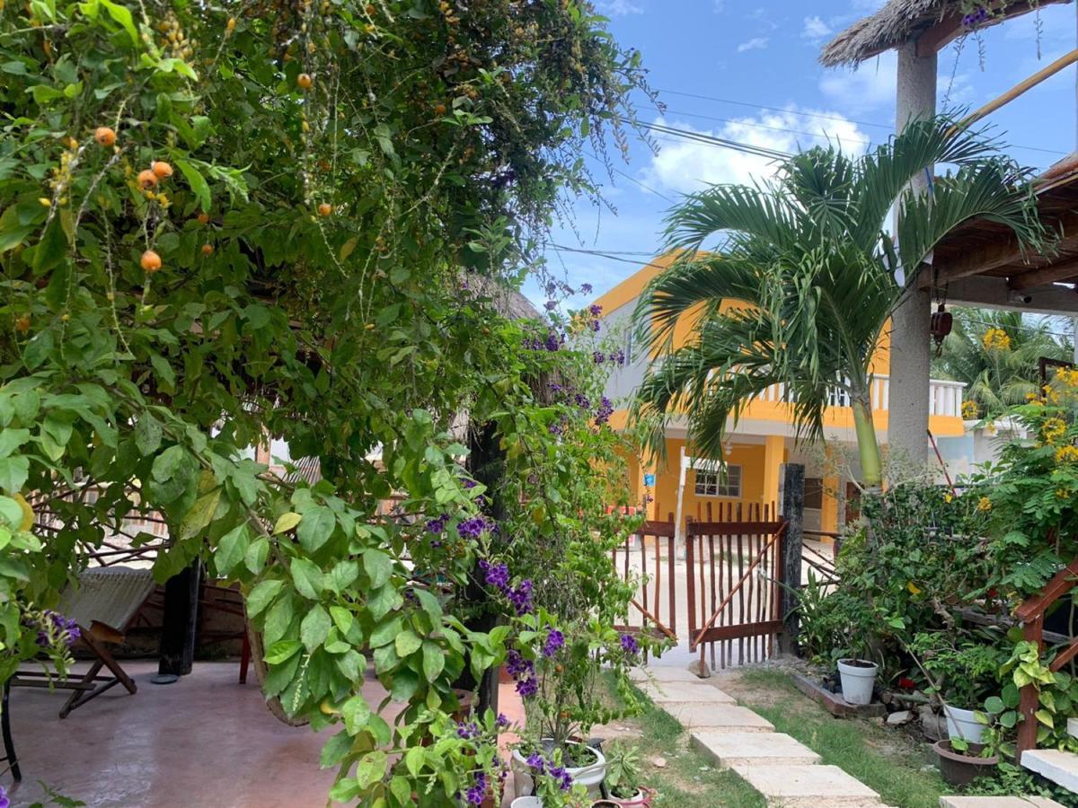 Don Panchon Y Maruxa Hotel Isla Holbox Exterior photo